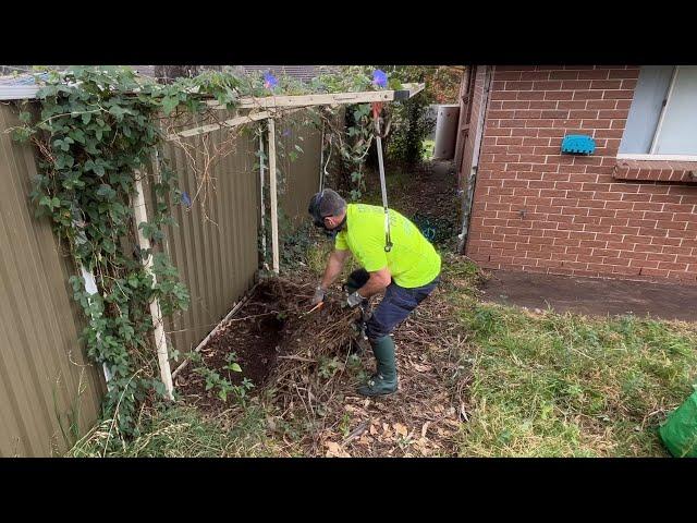 Massive Tree makes Massive Mess in Small Backyard! Watch Us Clean it up!