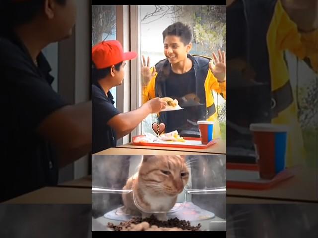 bro#cat #funny #explore #memes #bombastic #viral #shorts