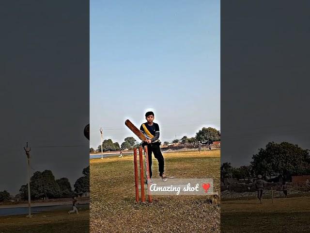 Raju Bhai  !! Wonderful Shot ️!! #shorts #viral #rajubhai #rajupatodi #ramkumarprajapati #subscrib