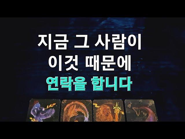 [타로/속마음]연락을 이것 때문에 당신에게 합니다. #타로#속마음타로#재회#타로백년