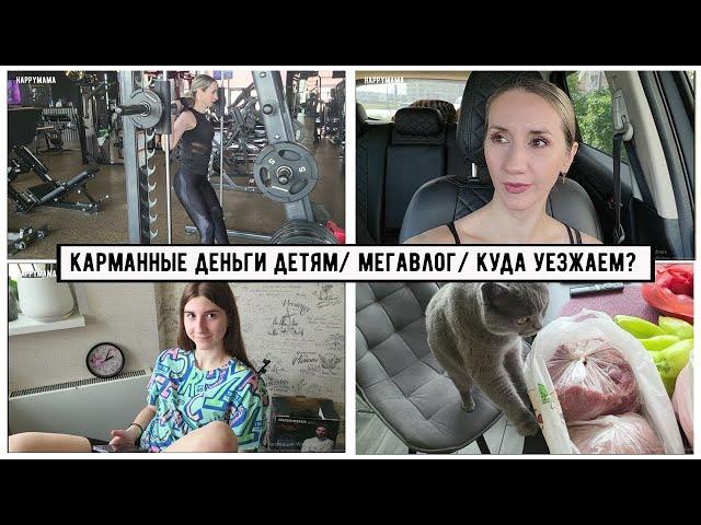 МегаВлог:Карманные деньги детям/Искренность или вранье/ Куда уезжаем? / Жертвы маркетинга/Миниотпуск