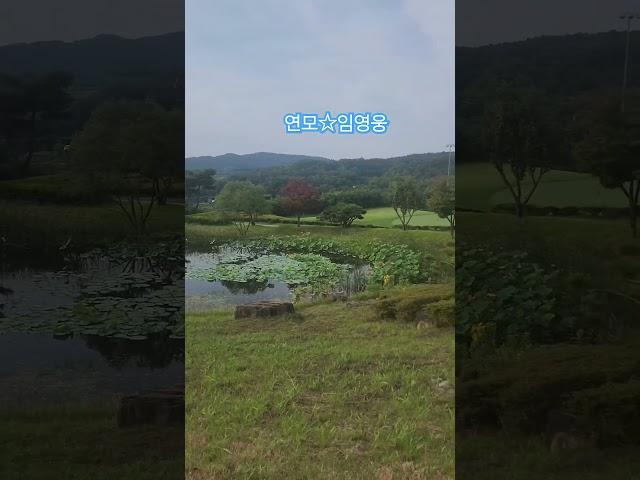 #연모 #임영웅 #건행 #영웅시대 #수수꽃다리tv