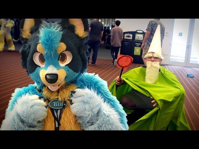 This is what 17,639 Furries Do at Anthrocon: Day 2 Fursuit Compilation | 2024