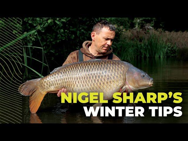 Nigel Sharp's Winter Carp Fishing Tips and Tricks