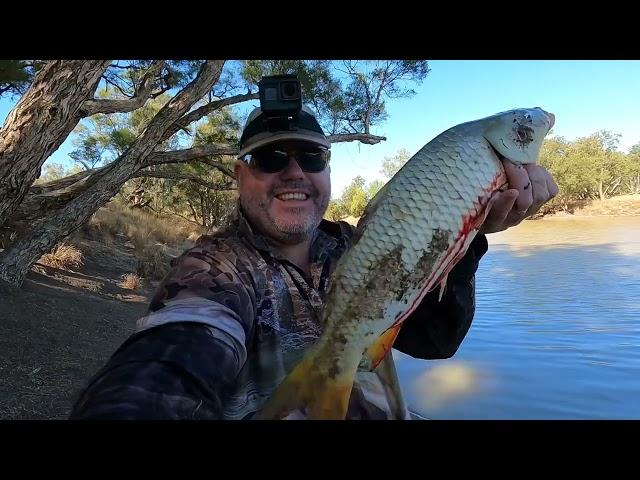 Fishing the Balonne River near Beardmore Dam / Lake Kajarabie