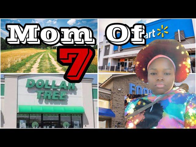 Busy Day In The Life As A Homeless Mom Of 7| Them Food Stamps Came 