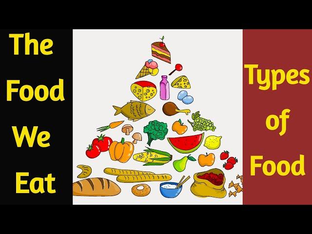 Food We Eat  | Food we eat EVS for Class 1, Class 2 and Class 3 | Different Kinds of Food