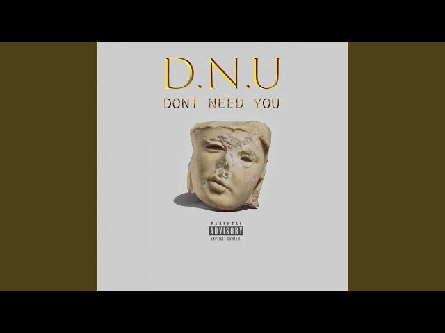 D.N.U (Dont Need You)