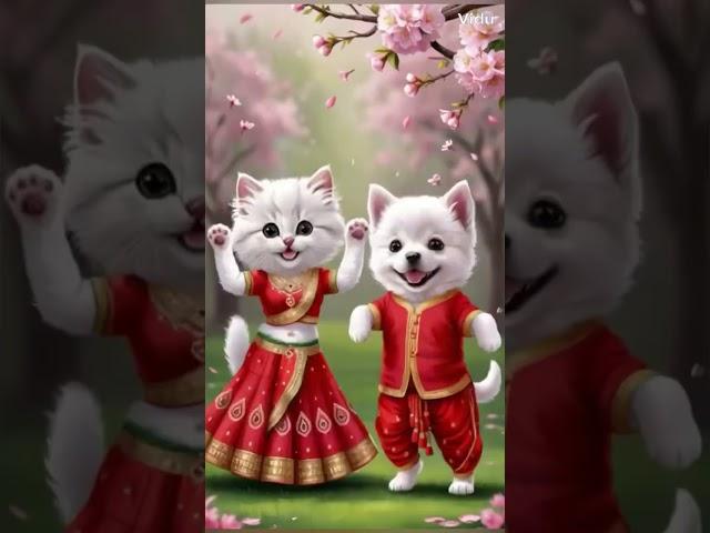 Funny animals video.. #cutecatdancing  .#catshorts  cat's dance #shortsvideo