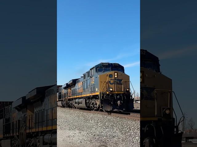 CSX 7252 rolls a intermodal past Pine Junction