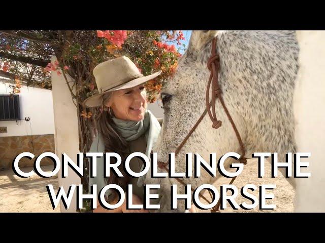 How to Control the WHOLE HORSE