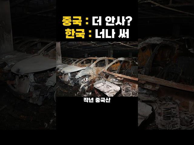 중국아 그냥 너만 써 우리나라 길거리에 전기버스가 흔한 이유와 그 정체 레전드