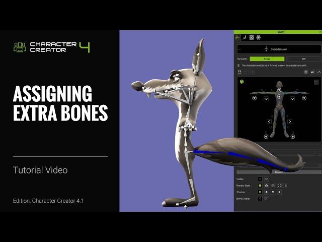 How to Add Extra Bones for Humanoid Characters with Blender & AccuRIG | Character Creator 4 Tutorial