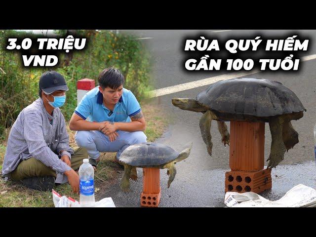 Trọng Dùng Số Tiền Lớn Giải Cứu Cụ Rùa Gần 100 Tuổi Quý Hiếm