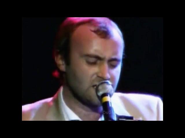 Phil Collins - I Can Not Believe It's True 1982 (Live)