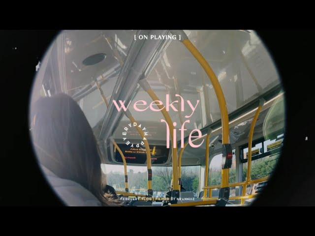 UNI VLOG#1｜爱尔兰都柏林大学University College Dublin
