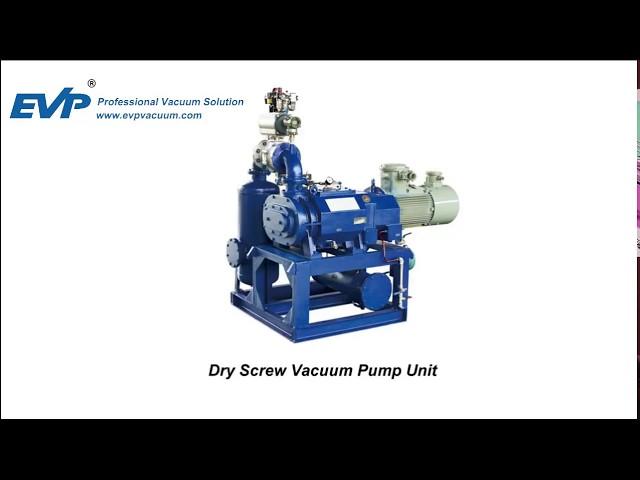 Dry screw vacuum pump installation