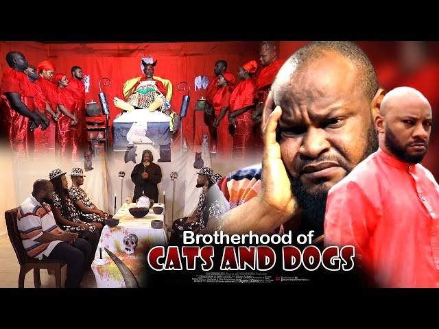 Brotherhood Of Cats And Dogs - Nigerian Movie