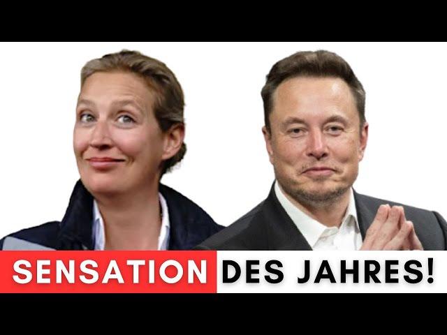 Elon Musk macht Live-Talkshow mit Alice Weidel!