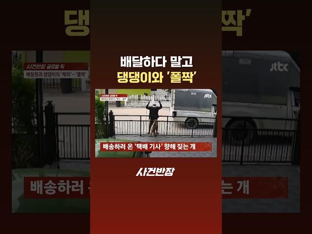 배달하다 말고 댕댕이와 '폴짝' #JTBC #Shorts