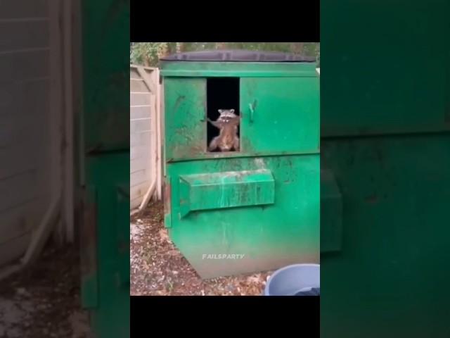 Funny Animals 2023  - Funniest Cats and Dogs video   #shorts