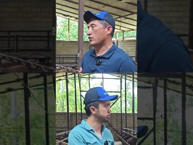 ZOHIDJON HAKIMOV MASLAXATLARI