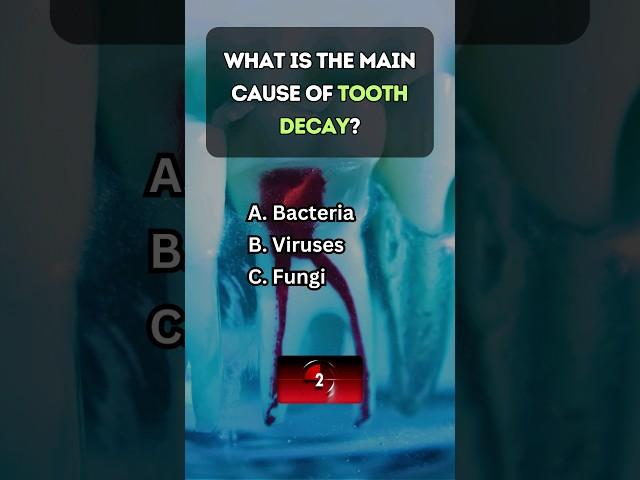 Fun Science Quiz: Are You Smarter Than Your Friends?