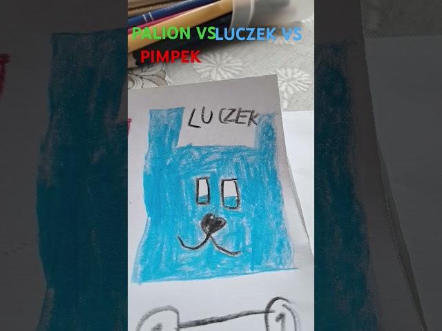 PALION VS PIMPEK VS LUCZEK