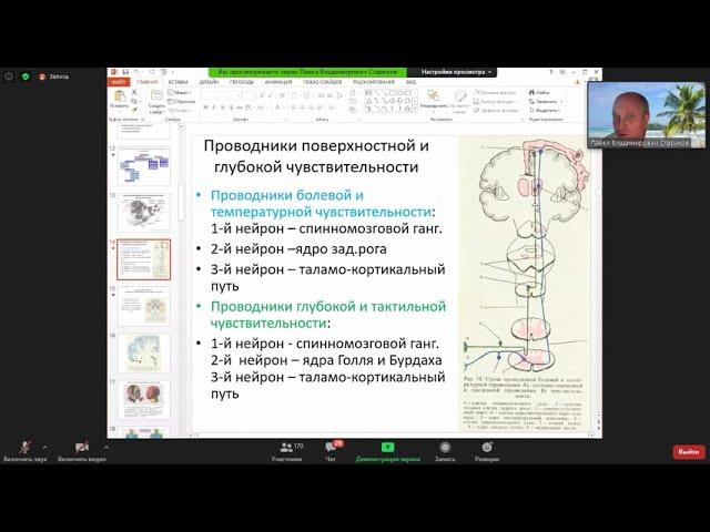 2. Чувствительность и ее нарушения / Sensitivity and its disorders