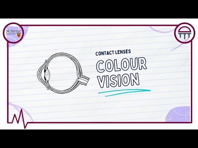 Contact Lenses For Colour Vision