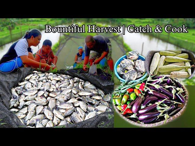 Boiled corn, fresh tilapia, bell peppers & eggplant harvest | Slow Life In The Countryside️