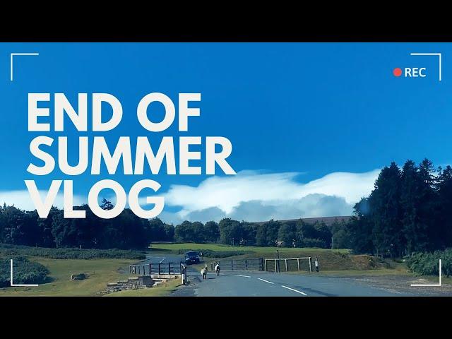 Autumn vlog, end of summer, sunflowers, watercolour painting, waterfalls, national trust, days out