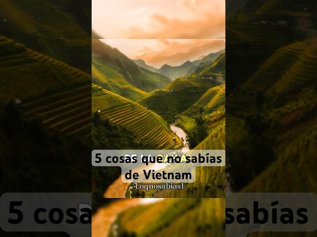 5 Cosas que no sabías de Vietnam #nature #adventure #foryou #datoscuriosos #vietnam