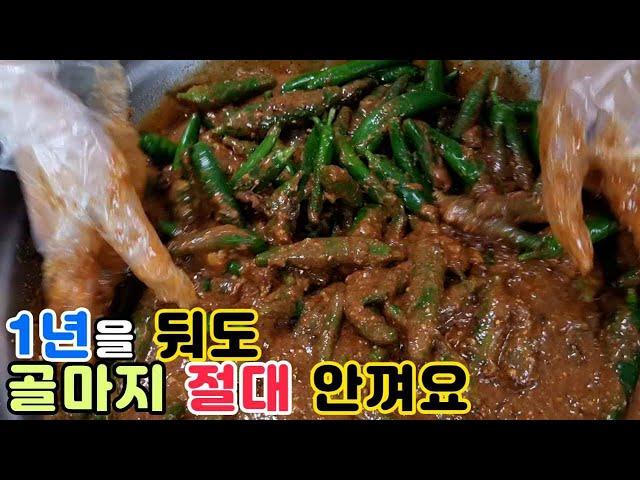 밥도둑 된장고추장아찌 짜지 않고, 오래두고 먹을수 있는 황금레시피( Golden recipe that Pickled soybean paste & chili paste)