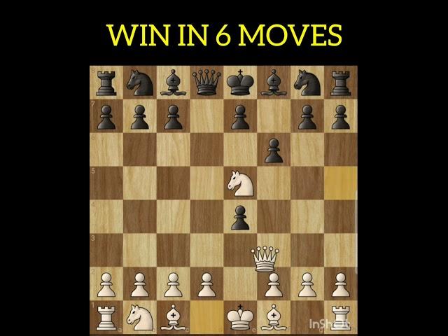 Checkmate in 6 Moves | Chess Openings and Tricks