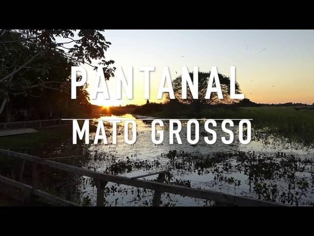 MATO GROSSO - BRASILIEN : Das Pantanal