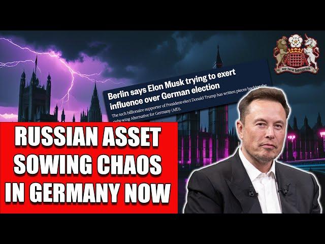 Musk Writes in Support of AfD in Germany