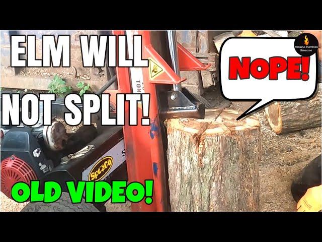 LOST FILE - EASY & IMPOSSIBLE ELM SPLITTING #FIREWOOD