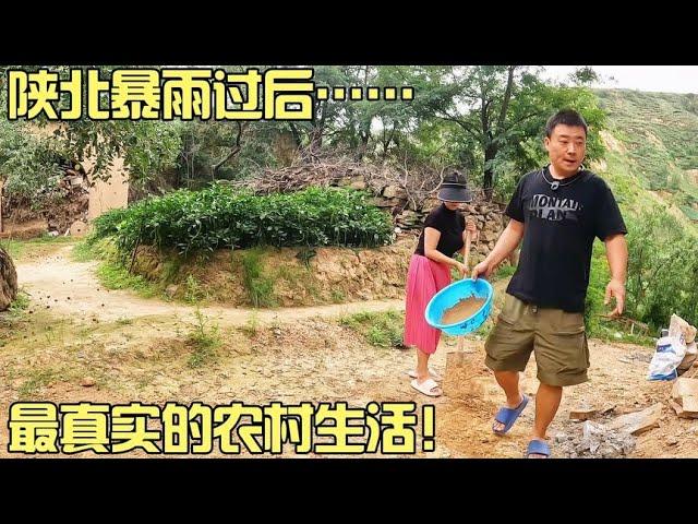 陕北暴雨过后…最真实的农村生活，简单又充实！