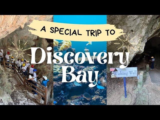 Special Trip To Discovery Bay @MeetTheMitchells