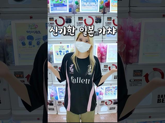 너무 신기해서 낭패본 일본 가챠 모음