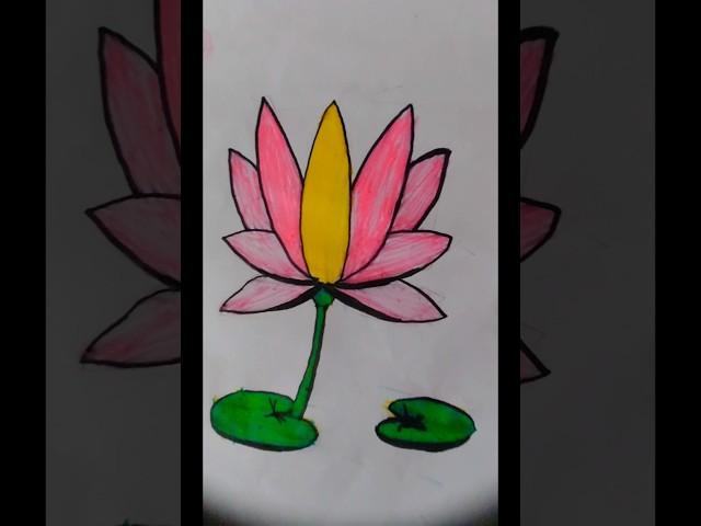 CREATE a BEAUTIFUL Lotus Flower Drawing Idea Tonight?p#shortvideo #flowers #nawar ideas