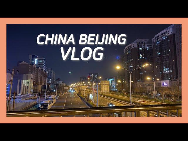 중국 베이징 직장인 일상 브이로그 VLOG : working at china home, 재택근무, 자가격리?, 먹고 산책하고 동네구경하며 코로나바이러스 우울함 극복하기 !