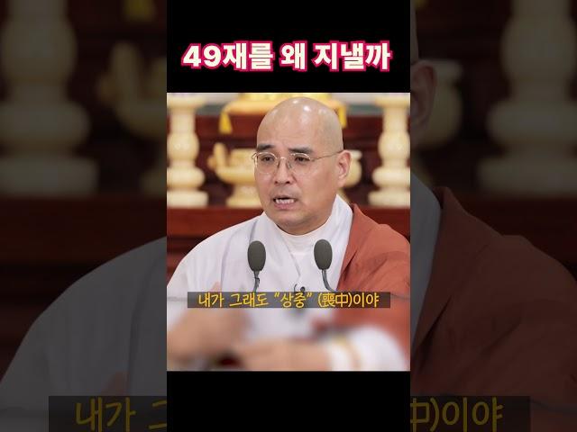 49재를 왜 지내나요? #49재 #장례 #자현스님