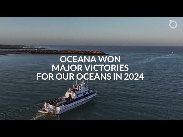 2024: A Year in Review | Oceana