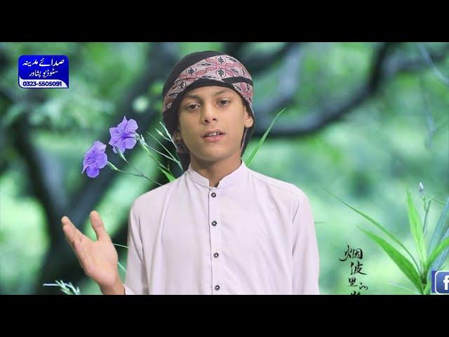 New Naat || Awais Mashom || New Pashto Naat || By Sada E Madina Studio Peshawar