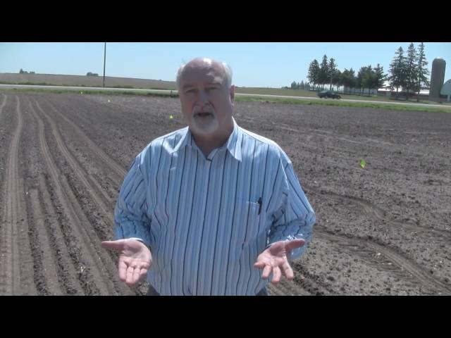 How to Start a Good Alfalfa Stand