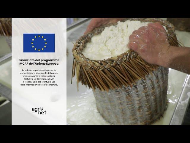 DAL CUORE DEI MONTI SICANI IL PECORINO SICILIANO CHE CI RIPORTA AD OMERO