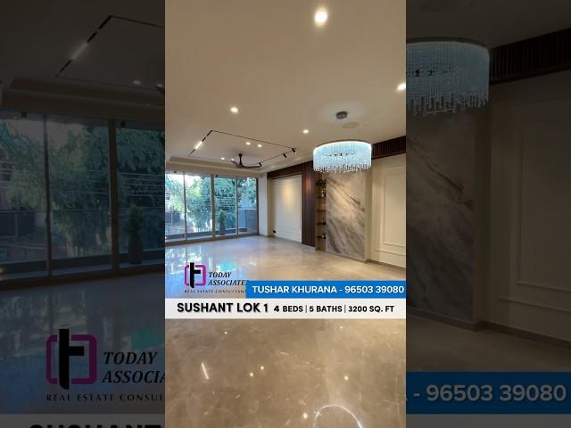 Builder Floor in Sushant Lok-1, Gurgaon| Builder floor in Gurgaon| Dlf Phase-2| Dlf phase-1| Suncity
