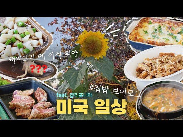 EN| 미국일상 Vlog| 시누 친구 오는날! 은근 쉬운 라자냐, 고기에 이거 뭐야...벌레야?!, 레고 만들고 고기 구워 먹는 캘리포니아 일상